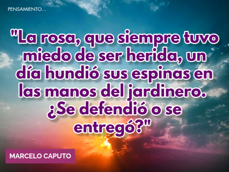 Frase destacada de Marcelo Caputo